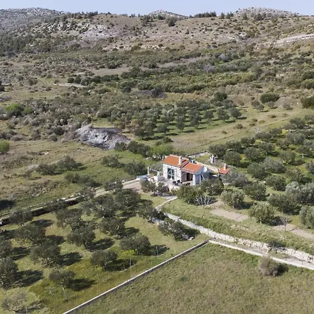 Ferienhaus Olive
