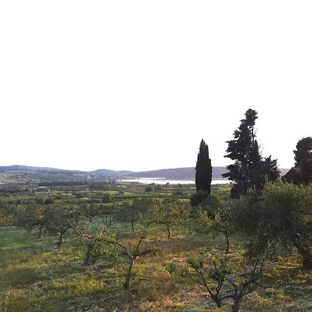 Ferienhaus Olive *